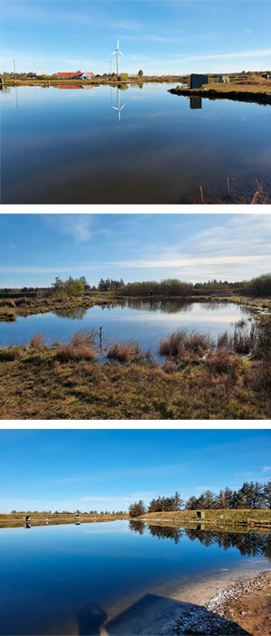 Loch Nees Put and Take
