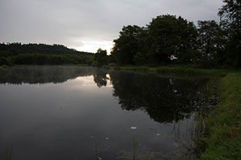 Lystrup Bæk Fiskesø