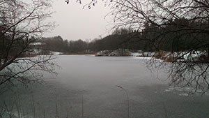 LykkeSø – karpefiskeri