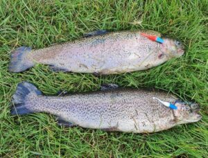 Ørreder med BaitLab gummidyr