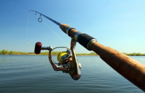 Fiskestang til put & take sø