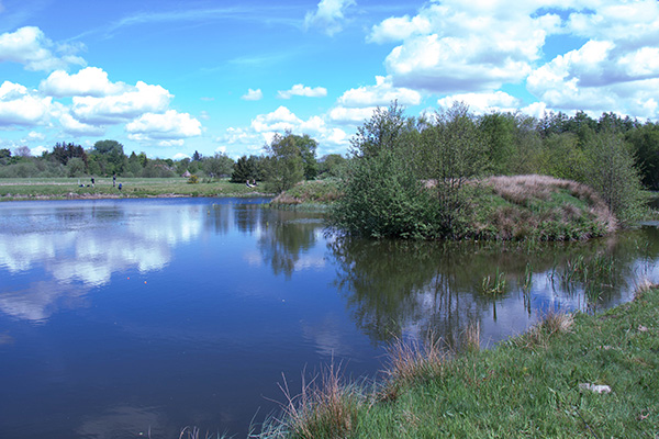 Lystfiskeriets Dag 2017 ved Højkilde Fiskerpark