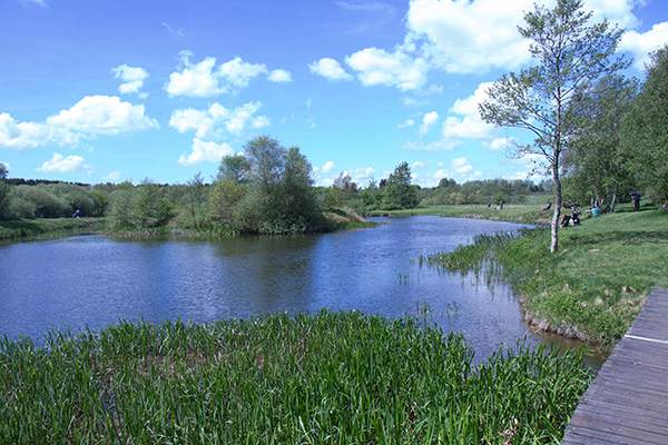 Lystfiskeriets Dag 2017 ved Højkilde Fiskerpark