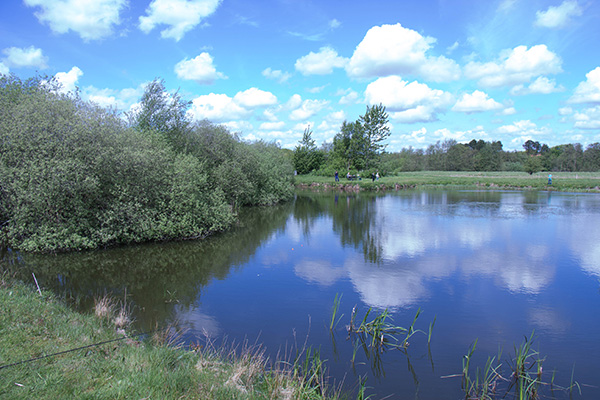 Lystfiskeriets Dag 2017 ved Højkilde Fiskerpark