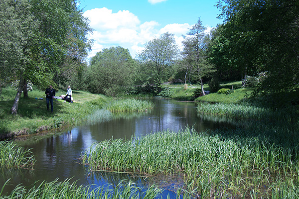 Lystfiskeriets Dag 2017 ved Højkilde Fiskerpark