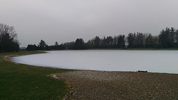 Stauning Fiskesø