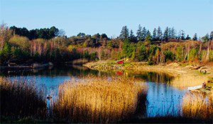 Myrup Fiskepark